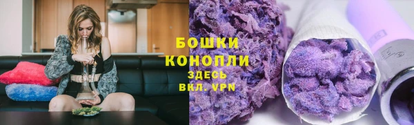спиды Горняк