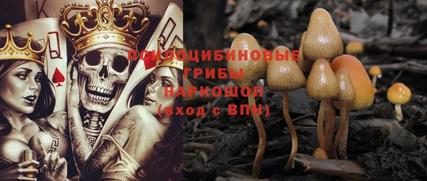 спиды Горняк