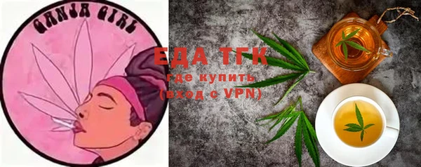 спиды Горняк