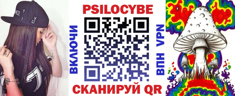 Купить Богданович Псилоцибиновые грибы MAGIC MUSHROOMS